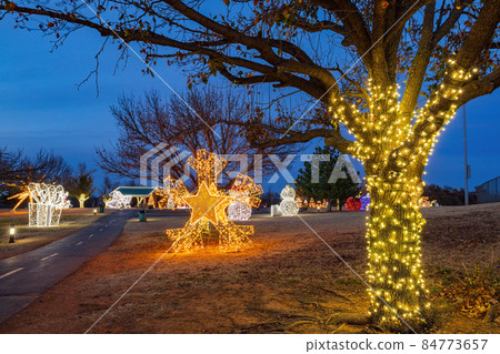 Night view of the beautiful Christmas decoration lights in Mitch Park 84773657