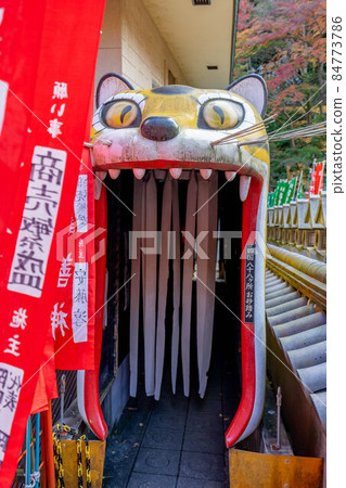 Shigisan 84773786