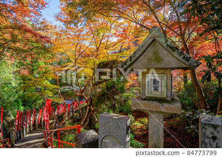 Shigiyama Shigiyama 84773799