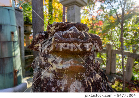 Shigisan Shigisan 84773804