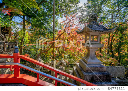 Shigiyama Shigiyama 84773811