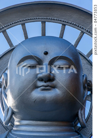Shigisan Shigisan 84773853