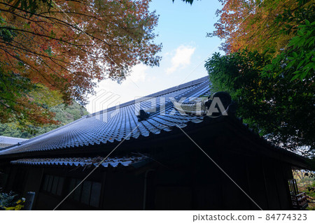 Shigiyama Shigiyama 84774323