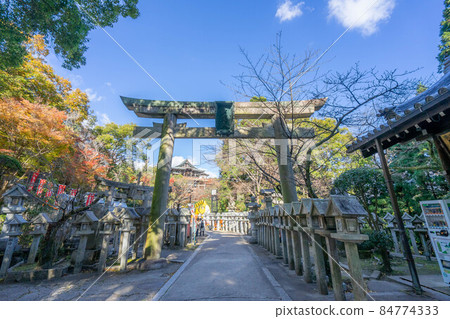 Shigisan Shigisan 84774333