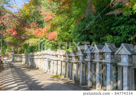 Shigiyama Shigiyama 84774334