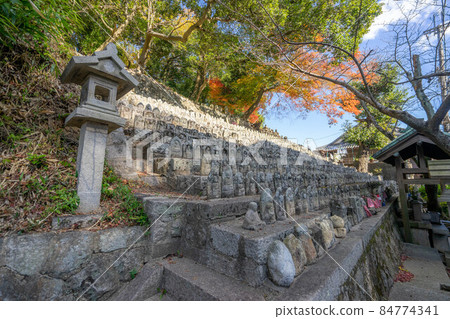 Shigisan Shigisan 84774341