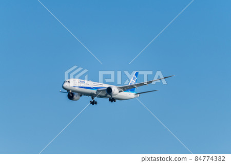 [全日空飛機從浮島町公園降落在A跑道上] 84774382
