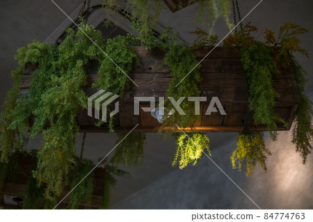 Eco cafe design in brown colours. Green potted plants hanging from the ceiling. High quality photo Eco cafe design in brown colours. Green potted plants hanging from the ceiling. High quality photo 84774763