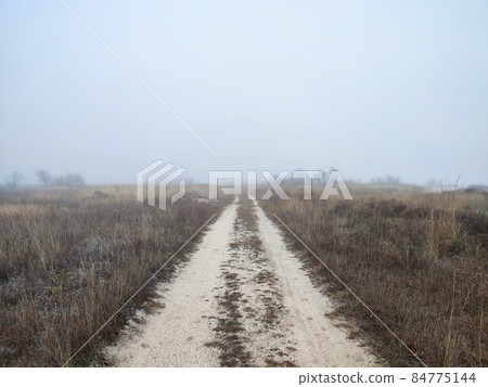 Foggy day on dirt road in gloomy steppe 84775144
