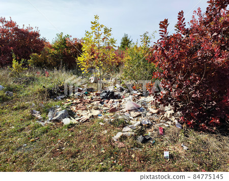 Pile of plastic trash in forest pollution and garbage dump at nature Pile of plastic trash in forest pollution and garbage dump at nature 84775145