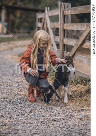 A cute gilr stroking a small goatling 84776957