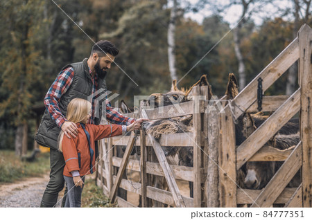 Farmer and a girl standing near the cattle-pen Farmer and a girl standing near the cattle-pen 84777351