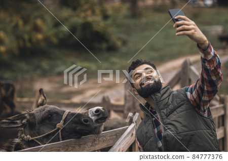 Cheerful farmer making selfie with donkeys Cheerful farmer making selfie with donkeys 84777376