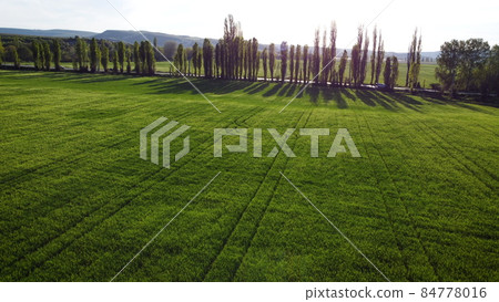 Green field with car on a road on background. Beautiful aerial landscape. Top view. Shooting from a drone or quadrocopter. Traffic on highway. Green field with car on a road on background. Beautiful aerial landscape. Top view. Shooting from a drone or quadrocopter. Traffic on highway. 84778016