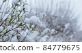 Autumn leaves covered by snow. 84779675