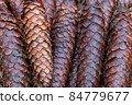 Brown forest cones. 84779677