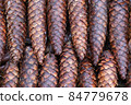 Brown forest cones. 84779678