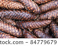 Brown forest cones. 84779679