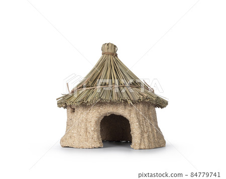 Hamster house on white background 84779741