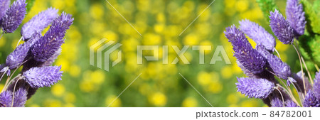Dried Flowers with Blurred Yellow Flowers in Background Dried Flowers with Blurred Yellow Flowers in Background 84782001