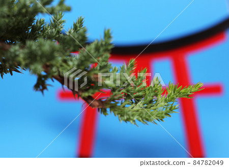 Bonsai Tree and Torii Gate Close up Shallow DOF Bonsai Tree and Torii Gate Close up Shallow DOF 84782049