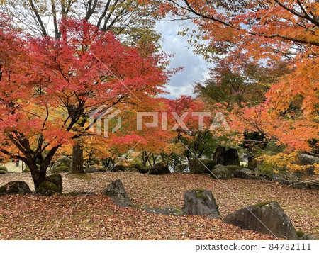 秋天的公園 秋天的公園 84782111