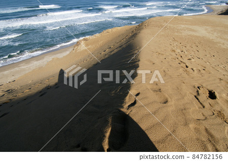 Tottori Four seasons walk winter Tottori sand dunes 84782156