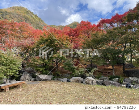 藍天 藍天 84782220