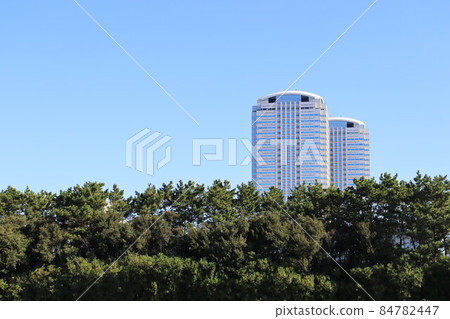 幕張海濱的風景：樹木與建築的和諧 84782447
