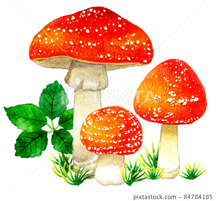 可愛的毒蘑菇插畫 飛木耳手繪水彩插畫素材 84784185
