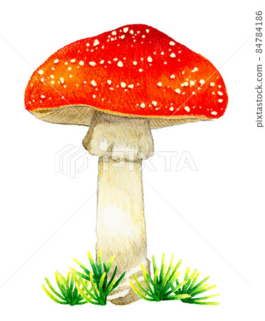 可愛的毒蘑菇插畫 飛木耳手繪水彩插畫素材 84784186