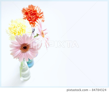 Flowers that sleep in the light 84784324