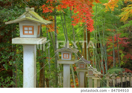 埼玉縣飯能市堺市 東鄉公園秩父禦岳神社 院內乃木神社前的燈籠和秋葉 84784910