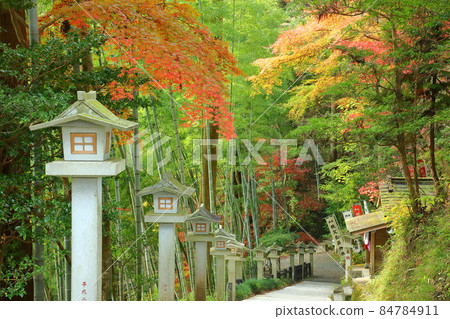 埼玉縣飯能市堺市 東鄉公園秩父禦岳神社 院內乃木神社前的燈籠和秋葉 84784911