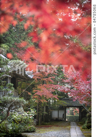 Autumn's Long Temple Autumn's Long Temple 84785068