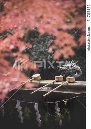 Kuwayama Shrine's Chozuya and Autumn Leaves 84785151