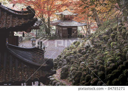 Atago紀念菩薩寺廟秋葉 84785271