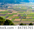 A colorful and beautiful field seen from the Shiroyama Observatory at the foot of Mt. Aso 84785765