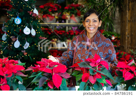 Woman shopping in home plant store in christmas time Woman shopping in home plant store in christmas time 84786191
