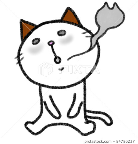 Exhausted cat 84786237