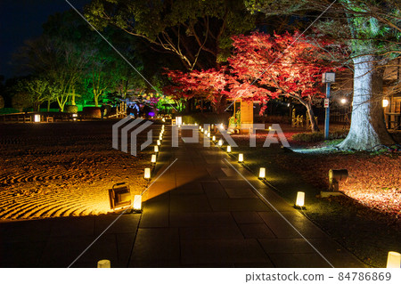 Autumn night Kumamoto Castle with autumn leaves and Hosokawa Penitentiary House illuminated and Kumamoto Castle Castle Festival 84786869