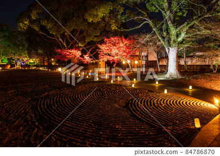 秋夜熊本城與秋葉和細川監獄燈火通明和熊本城城堡節 秋夜熊本城與秋葉和細川監獄燈火通明和熊本城城堡節 84786870