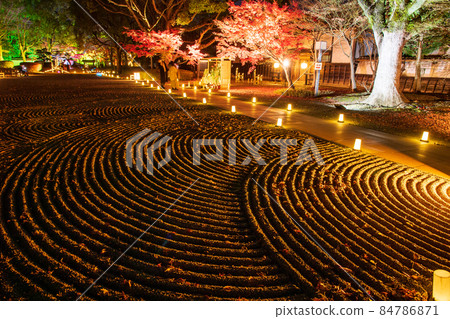 秋夜熊本城與秋葉和細川監獄燈火通明和熊本城城堡節 84786871