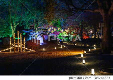 Autumn night Kumamoto Castle with autumn leaves and Hosokawa Penitentiary House illuminated and Kumamoto Castle Castle Festival 84786883
