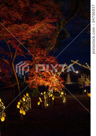 秋夜熊本城與秋葉和細川監獄燈火通明和熊本城城堡節 秋夜熊本城與秋葉和細川監獄燈火通明和熊本城城堡節 84786937