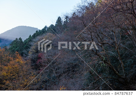 東京谷，卡諾托岩 84787637