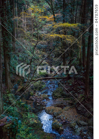 東京的溪谷北明川 84787659