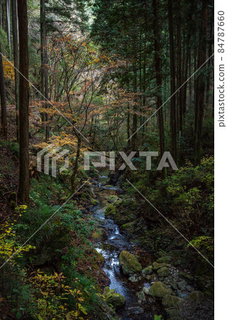 Kitaaki River, a valley in Tokyo 84787660