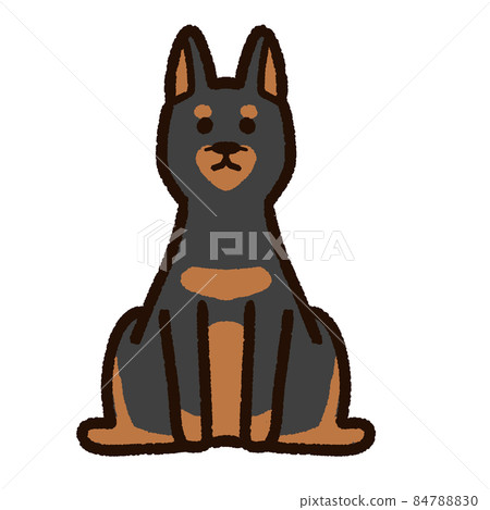 Cute Doberman standing ears 84788830