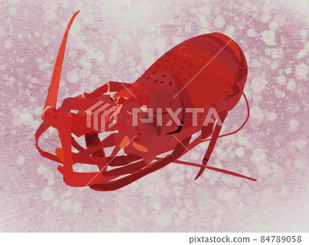 Spiny lobster alone Spiny lobster alone 84789058